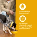 Adult Small Dog Dry Dog Food, Grilled Steak and Vegetable Flavor, 3.5 lb. Bag - Image 7