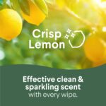 Disinfecting Cleaning Wipes, Bleach Free, Crisp Lemon, 75 Count - Image 3