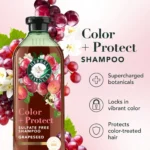 Color + Protect Grapeseed Sulfate Free Shampoo, 13.5 fl oz - Image 2