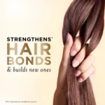 Pro-V Shampoo Daily Moisture Renewal, 27.7 oz - Image 3